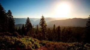 Магические слова на 24 ноября для каждого знака зодиака.