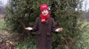 Стихотворение "Россия"