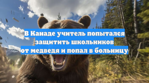 В Канаде учитель попытался защитить школьников от медведя и попал в больницу