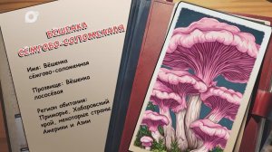 Агент биосферы / Вёшенка / 24.11.25