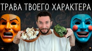 Травы по типу темперамента: почему одна и та же трава кого-то лечит, а кому-то вредит?