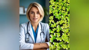 Польза ряски в народной медицине.