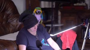 Бхарати Махарадж - Шримад Бхагаватам 3.2