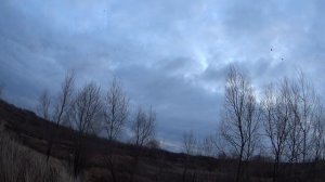 Болтовня в перемешку со стрельбой по воронам.