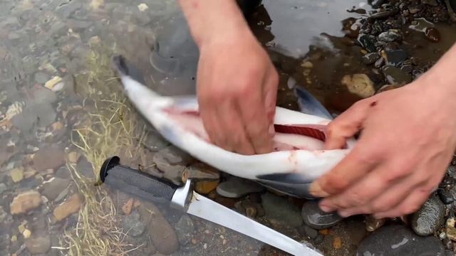 Биг-Рыбалка Камчатки