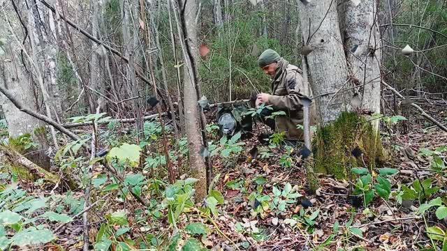 Заросшие дороги, поиск в кустах