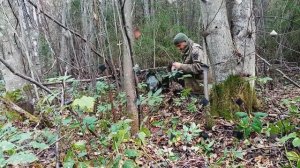 Заросшие дороги, поиск в кустах