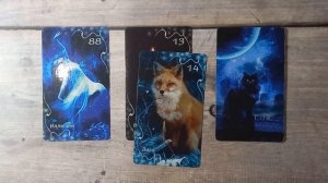 Послание от высших сил 💕