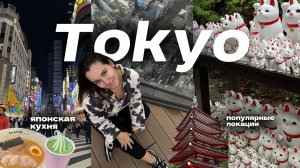 ТОКИО ВЛОГ: интересные маршруты, шоппинг, поездка на Фудзи!