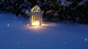 🌲 Футаж: Волшебный фонарь в лесу // Новогодний