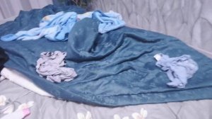 VID_20251123_200204.mp4