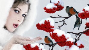 Песня: "Снежные птицы любви".