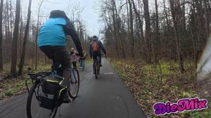 Променад в Лосиный остров из Реутова 08.11.25