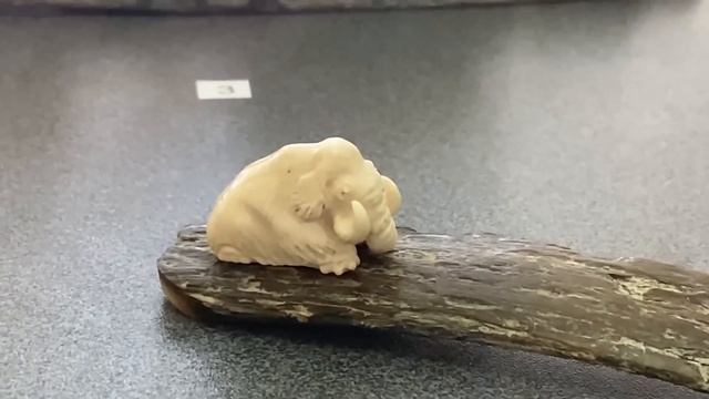 ВЛОГ Увидеть Дельфина с самого утра - это к удаче ! Идём смотреть на мамонтенка Любу в музей Анапы смотреть онлайн