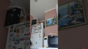 Я делаю игрушки