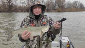 Астраханская область.МАКОВО .НОЯБРЬ 2025