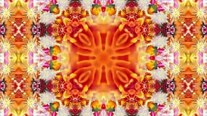 Видеофоны! Видеофон Осенняя цветочная фантазия 7 от Киностудии Мудрого Кота Тимофея!