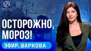 Эфир. Одеваемся тепло. Современное образование. Экологическая выставка.