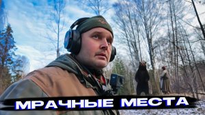 ЧЕРЕЗ БУРЕЛОМ ЗА МОНЕТАМИ! Последний шанс в этом году: поиск монет в лесу.