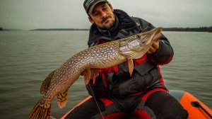 Сломали подсак, чуть не проткнули лодку. Лучшая рыбалка на закрытие лодочного сезона. [Пора ловить]