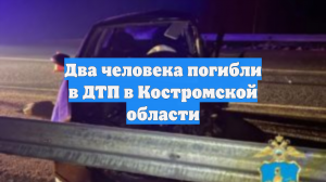 Два человека погибли в ДТП в Костромской области