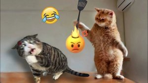 СМЕШНЫЕ ВИДЕОПРИКОЛЫ |Смешные моменты с животными |Я РЖАЛ ДО СЛЕЗ|ПОДБОРКА ПРИКОЛОВ