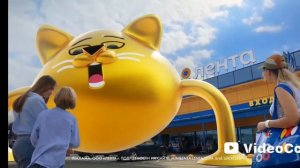 липеры вживую