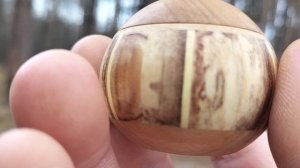 Шкатулка в ноябрьском лесу на березе