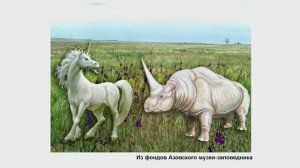 Загадочные эласмотерии. Какими они были на самом деле – Вадим Титов