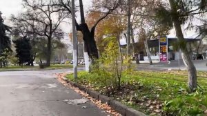 ОДЕССА 24 НОЯБРЯ 2025. РОССИЙСКАЯ КАРТА И НОМЕР ПОДОЛЯКА. СТЕРНЕНКО И 1000 ГРН НА РУСОРИЗ. ОБЩАК ОП.