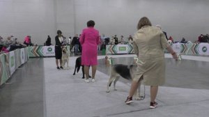 Сравнение рабочего класса