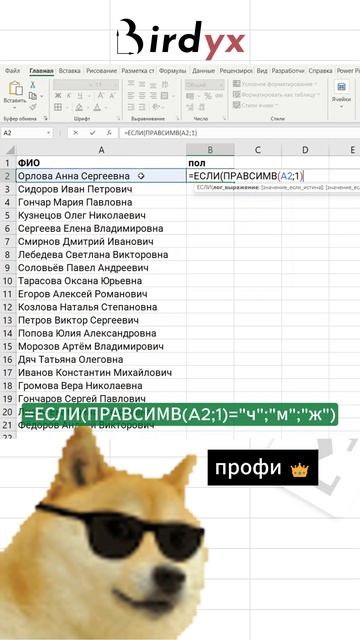Пол по отчеству в Excel 😎