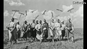 История деревни Проскуряково 1 серия