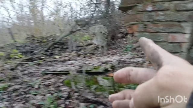 ДОМИК ЗУБНОЙ ФЕИ, ПРОГУЛКА С МЕТАЛЛОИСКАТЕЛЕМ