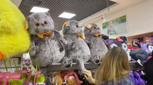 Едем за ПОКУПКАМИ с Алисой / Шоппинг перед Новым Годом / Любимый Василек примерка новых костюмов !