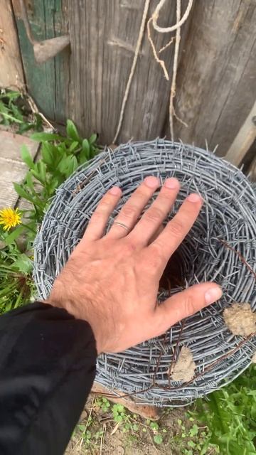 Колючая проволока