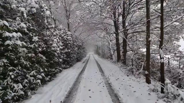 25 ноября - День обновления. Магия на желание.