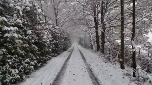 25 ноября - День обновления. Магия на желание.