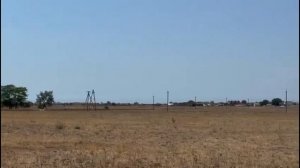 🍿персиковый сад 90:14:100901:4 обзор 2025