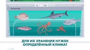 Зона свежести BioFresh в холодильнике Liebherr