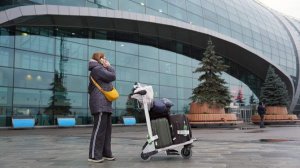 В аэропорту Домодедово ввели временные ограничения на полеты