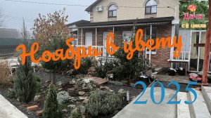 Ноябрь в цвету 1