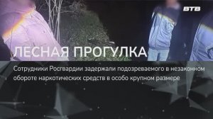 ЛЕСНАЯ ПРОГУЛКА