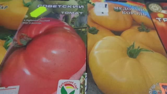 2 ТОМАТА В ОДНУ ЛУНКУ. Часть 2. МОЖНО ЛИ ТАК ВЫСАДИТЬ ИНДЕТЕРМИНАНТНЫЕ СОРТА?