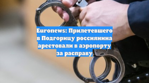 Euronews: Прилетевшего в Подгорицу россиянина арестовали в аэропорту за расправу
