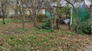 О моих впечатлениях о пребывании на платформах Дзен, Рутубе и Ютубе. Немного о хейтерах. 24.11.2025.