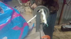 Скинер номер 111, продан