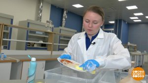 Средства для мытья посуды: что скажет наука? Доброе утро. Фрагмент выпуска от 24.11.2025