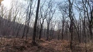 штыковские пруды покатушки по лесу моноколесо extreme bull Commander mini