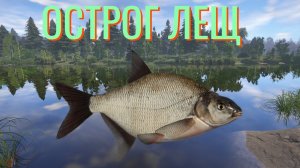 Русская Рыбалка 4 Старый Острог